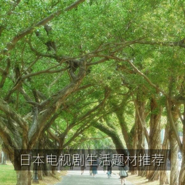 日本电视剧生活题材推荐