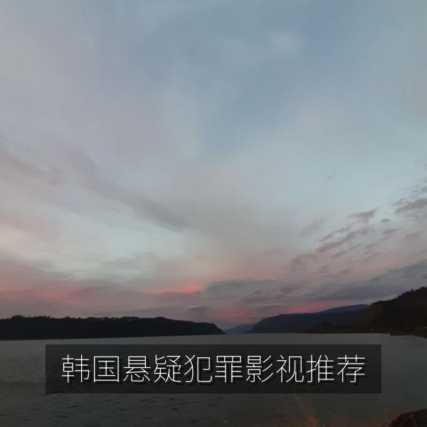 韩国悬疑犯罪影视推荐