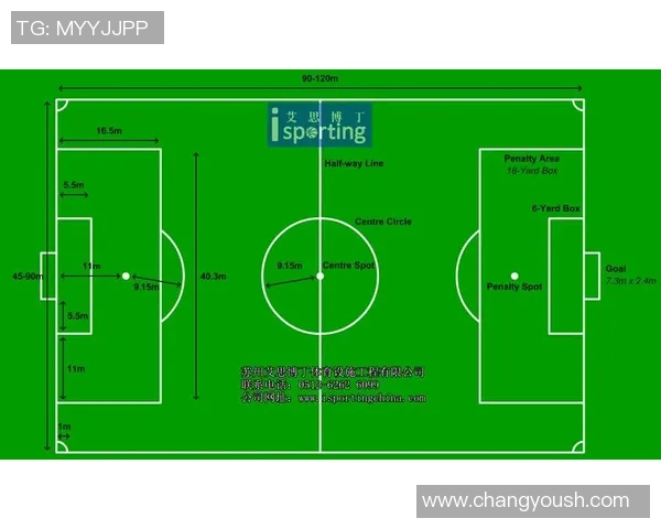 足球场面积的单位选择与国际标准的关系探讨